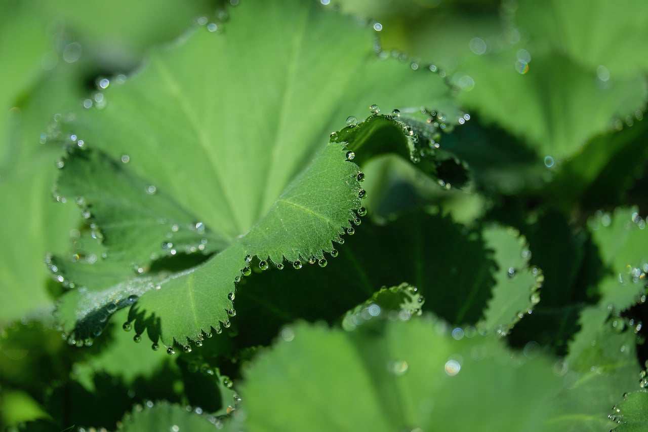Nutrição sustentável é a ponte entre uma vida saudável e um planeta protegido.