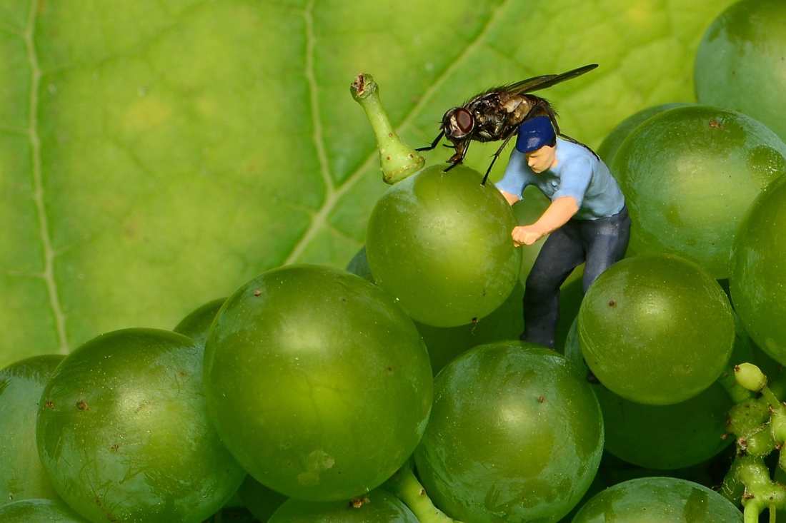 Nutrição e TPM: Alivie Sintomas e Regule seu Ciclo